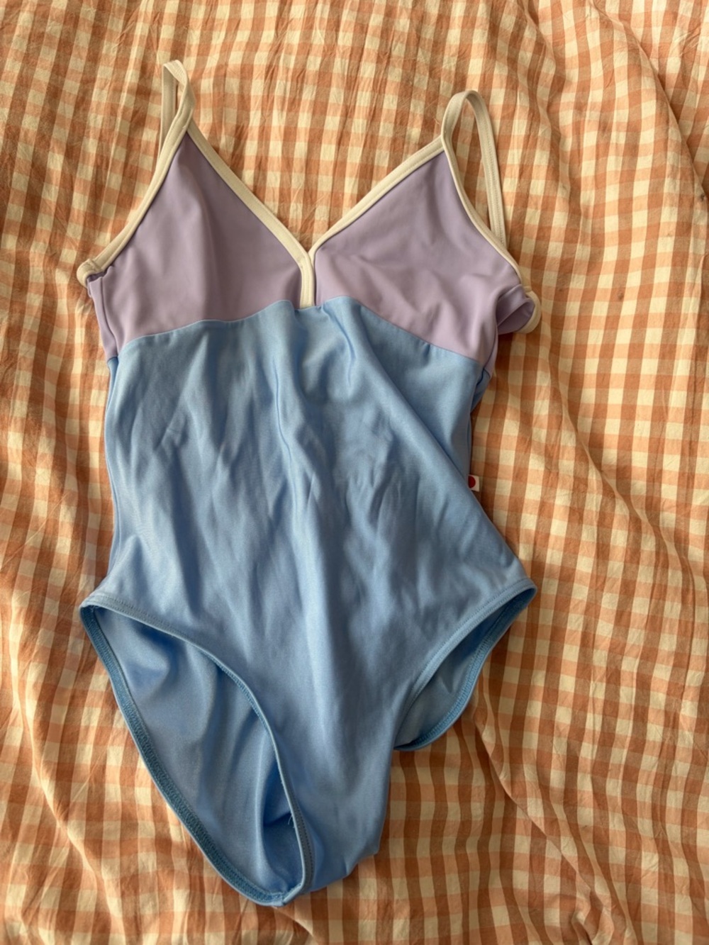 Yumiko Daria Lavender and Light Blue Two-Tone leotard